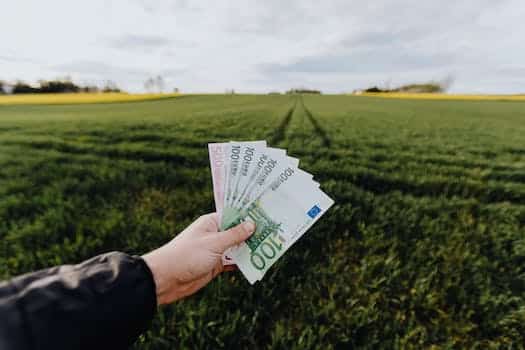 Crop farmer showing money in green summer field in countryside