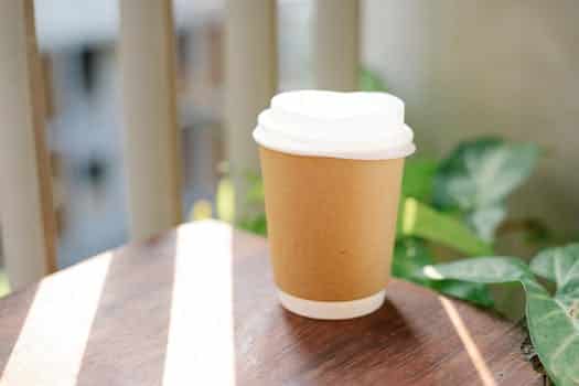 Paper cup of coffee to go placed on table in cafeteria in sunny morning