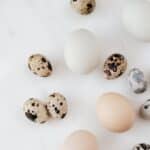 Top view of fragile quail and chicken eggs scattered on marble surface before cooking