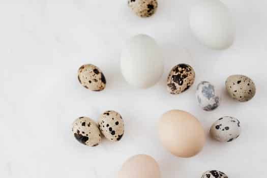 Top view of fragile quail and chicken eggs scattered on marble surface before cooking