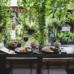 Lunch for two placed on table against window with plants