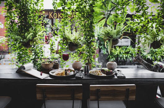 Lunch for two placed on table against window with plants