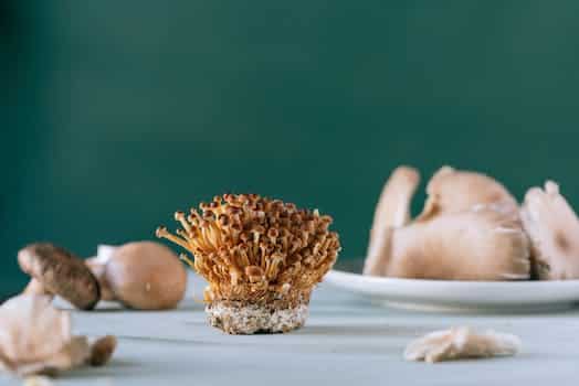 Nameko brown tiny mushrooms on table