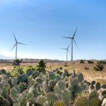 Windmills on terrain between cacti and electric towers