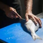 A Person Slicing a Fish